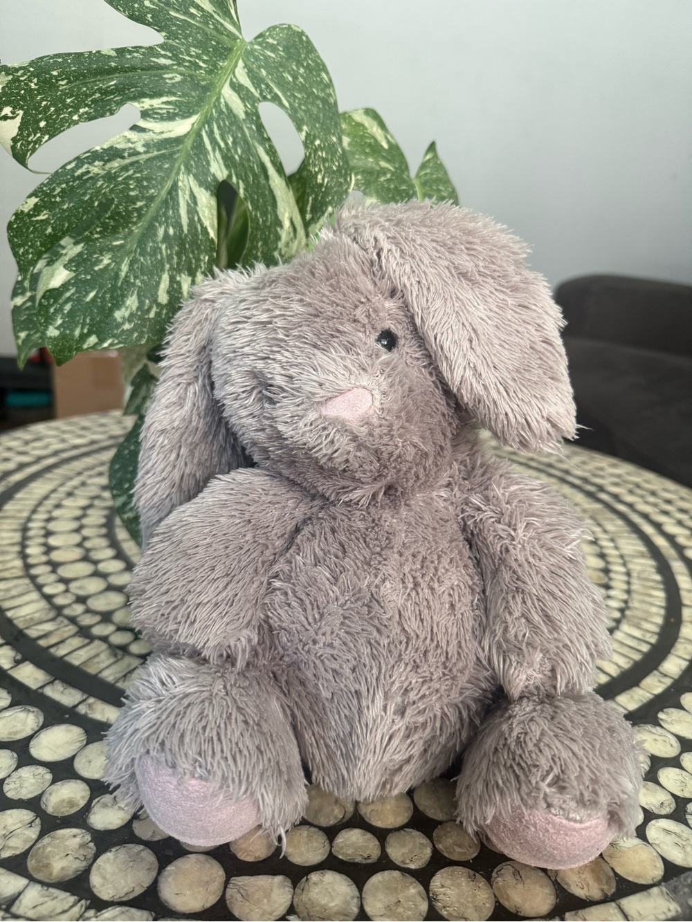 Retired Medium Toffee Pudge Bunny Jellycat